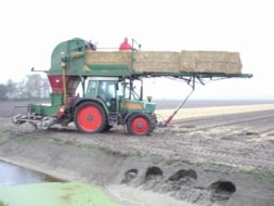 Covering the fields with Straw